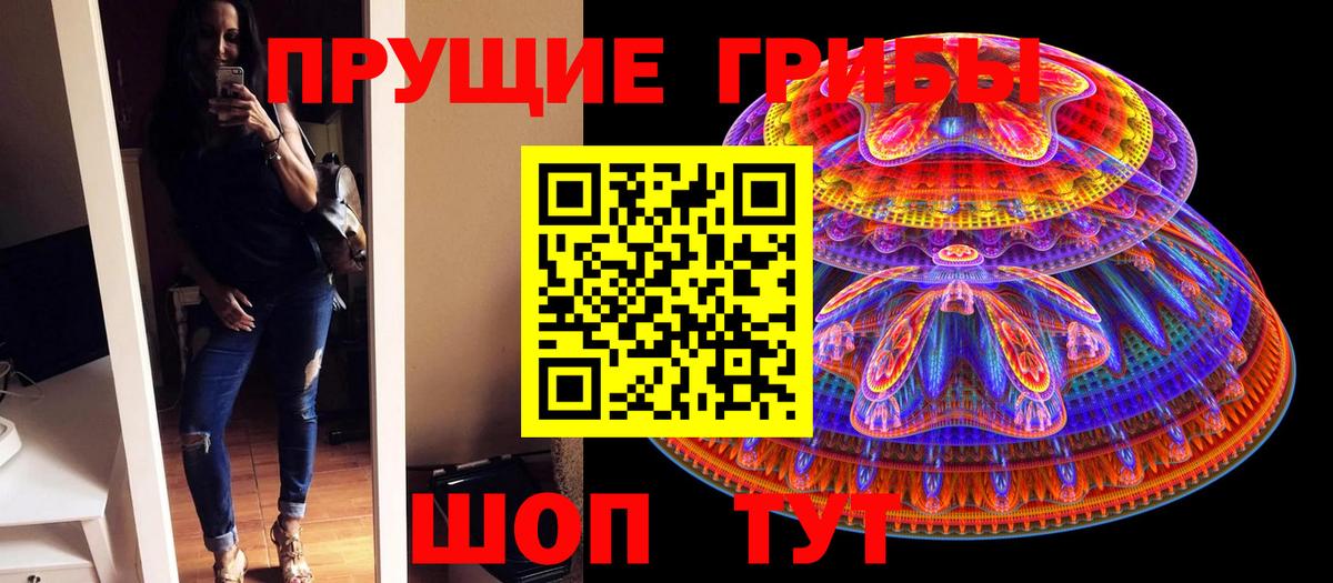Псилоцибиновые грибы Psilocybe Люберцы