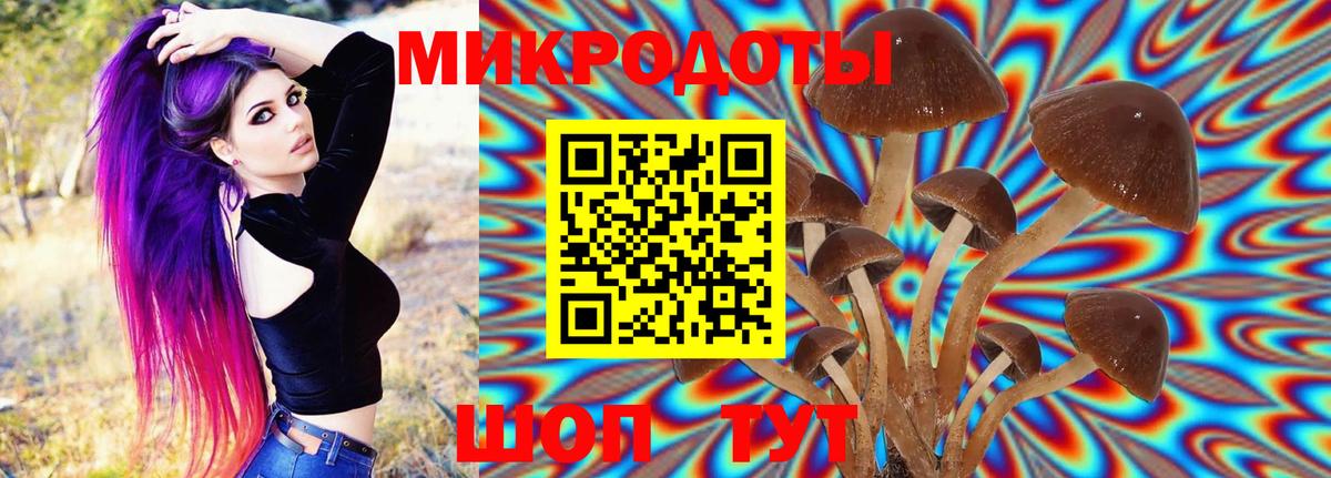 Люберцы  Галлюциногенные грибы Psilocybine cubensis  Вход с VPN 
