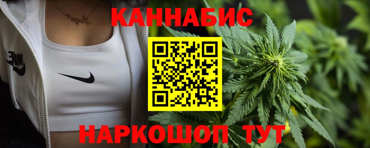 Каннабис сатива Люберцы